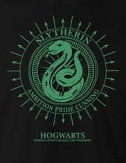 Grooters Pánské tričko Harry Potter - Zmijozel Arrow Velikost: M