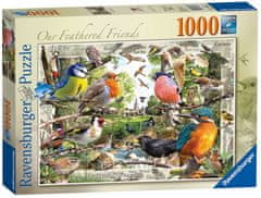 Ravensburger Puzzle Naši opeření přátelé 1000 dílků