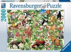 Ravensburger Puzzle Džungle 2000 dílků