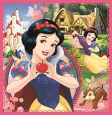 Trefl Puzzle Disney princezny: Kouzelný svět 3v1 (20,36,50 dílků)