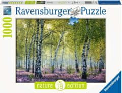 Ravensburger Puzzle Březový les Birkenwald, Francie 1000 dílků