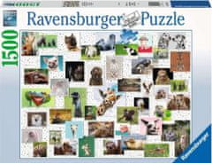 Ravensburger Puzzle Koláž se zvířecími ksichtíky 1500 dílků