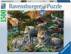 Ravensburger Puzzle Vlci na jaře 1500 dílků