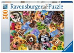 Ravensburger Puzzle Psí selfie 500 dílků