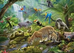 Ravensburger Puzzle Zvířata v deštném pralesu 60 dílků