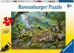 Ravensburger Puzzle Zvířata v deštném pralesu 60 dílků