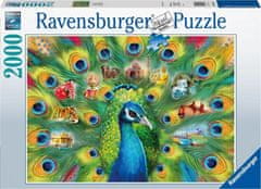 Ravensburger Puzzle Páv 2000 dílků