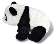 TWM plyšová panda junior 30 cm černobílá