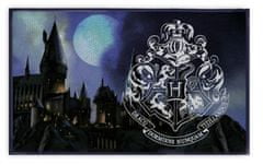 TWM Juniorský koberec Harry Potter 40 x 60 cm černý