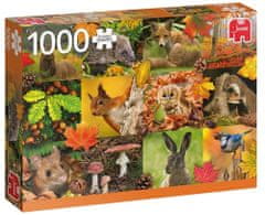 TWM Podzimní puzzle 1000 dílků