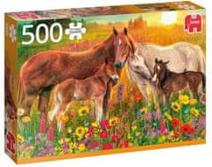 TWM puzzle Paarden in de Wei 500 dílků