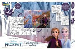 TWM Puzzle Frozen II junior 41 x 28 cm, karton 24 dílů