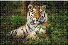 TWM Puzzle Planeta zvířat Tiger 73 x 48 cm, karton 1000 dílků