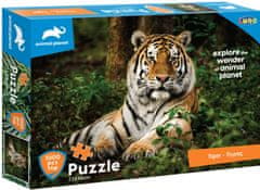 TWM Puzzle Planeta zvířat Tiger 73 x 48 cm, karton 1000 dílků