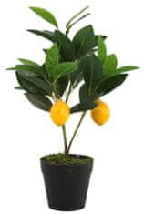 TWM umělá rostlina Citrus mitis 30 cm zelená / žlutá