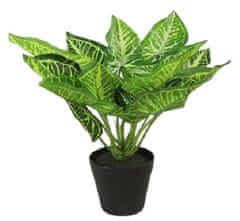 TWM Calathea Umělá rostlina 25 x 25 cm hedvábí zelená/černá