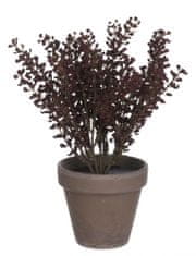 TWM umělá rostlina Astilbe 21 cm keramické bordeaux