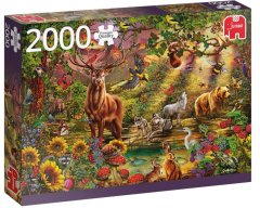 TWM Puzzle Kouzelný les při západu slunce 2000 dílků