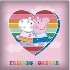 TWM polštář Friends Forever 40 x 40 cm polyester růžový a bílý