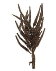 TWM Umělá rostlina sekvojovec 14 x 36 cm tmavě hnědé hedvábí