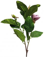 TWM umělá květina Magnolia Grandiflora hedvábná lila růžová