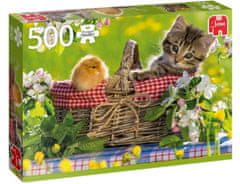 TWM puzzle Připraveno na piknik 500 dílků