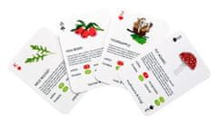 TWM hrací karty Foragers 6,2 x 8,8 cm, bílý papír