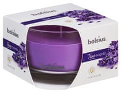 TWM Vonná svíčka True Scents Lavender 9,2 cm sklo / fialový vosk