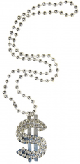 TWM jednovelikostní stříbrný náhrdelník se znakem dolaru