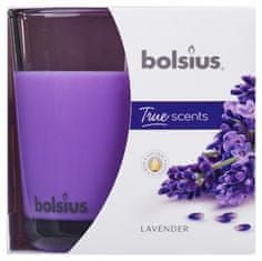 TWM Vonná svíčka True Scents Lavender 9,7 cm sklo / fialový vosk