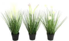 TWM umělá rostlina Poaceae 15 x 15 x 46 cm polystone 3 ks