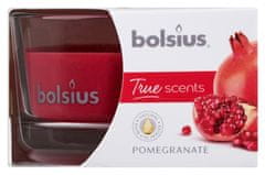 TWM Vonná svíčka True Scents Pomegranate 8,2 cm, červený vosk