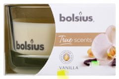 TWM vonná svíčka True Scents Vanilla 8 cm sklo / hnědý vosk