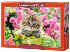 Castorland Puzzle Kotě v květinové zahradě 500 dílků