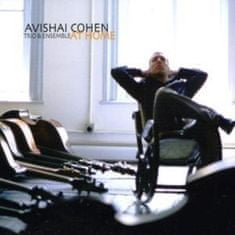 Cohen Avishai: At Home