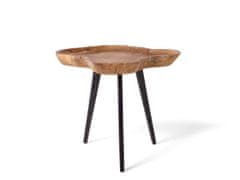 Beliani Dřevěný stolek na kávu ELSA