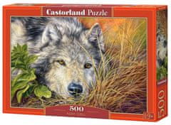 Castorland Puzzle Čistá duše 500 dílků