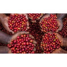 COFFEEDREAM Káva UGANDA ZESUI WOMEN - Hmotnost: 1000g, Typ kávy: Zrnková, Způsob balení: třívrstvý sáček se zipem, Stupeň pražení: pražení COFFEEDREAM