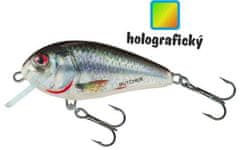 Salmo Salmo rybářské woblery Butcher sinking 5cm/7g Holographic Real Dace