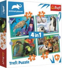 Trefl Puzzle Animal Planet: Záhadný svět zvířat 4v1 (35,48,54,70 dílků)