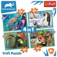 Trefl Puzzle Animal Planet: Záhadný svět zvířat 4v1 (35,48,54,70 dílků)