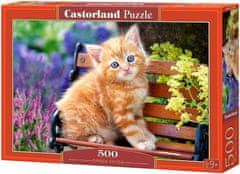 Castorland Puzzle Zrzavé kotě 500 dílků