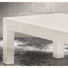 Amoletto Import Moderní konferenční stolek bílý rýhovaný