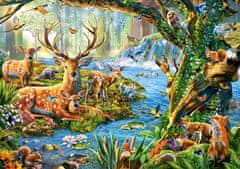 Castorland Puzzle Život v lese 500 dílků