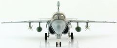 Hobby Master Grumman EA-6B Prowler, US NAVY, VAQ-142, Bagram, Afghánistán, Operation Iraqi Freedom, 2007, 1/72