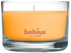 Bolsius Svíčka Bolsius Jar True Scents 50/80 mm, s vůní manga, ve skle