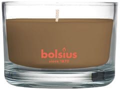 Bolsius Svíčka Bolsius Jar True Scents 50/80 mm, vonná, skořice/jablko, ve skle