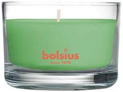 Bolsius Svíčka Bolsius Jar True Scents 50/80 mm, vonná, zelený čaj, ve skle