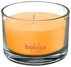 Bolsius Svíčka Bolsius Jar True Scents 63/90 mm, s vůní manga, ve skle