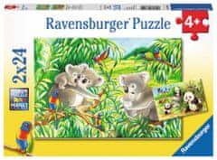 Ravensburger Puzzle Koaly a pandy 2x24 dílků